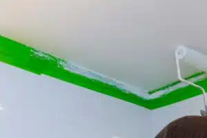 bathroom ceiling paint